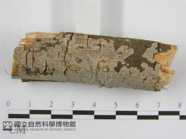 登錄號:F0011988藏品圖，第3張