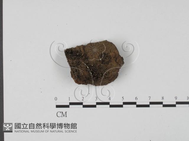 登錄號:F0007988藏品圖，第3張