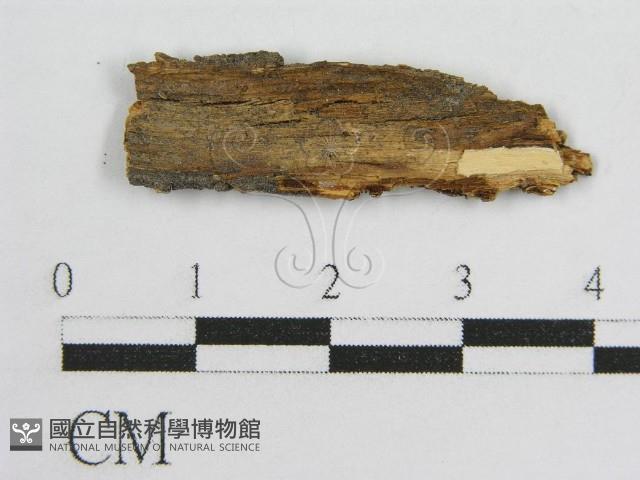 登錄號:F0016688藏品圖，第3張