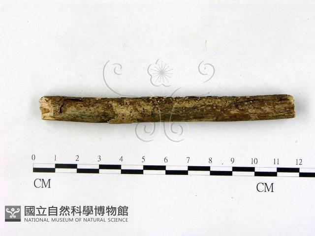 登錄號:F0022688藏品圖，第3張