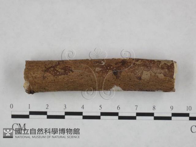 登錄號:F0023688藏品圖，第3張