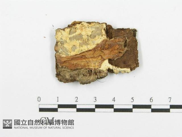 登錄號:F0013688藏品圖，第3張