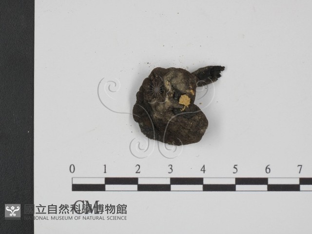 登錄號:F0008488藏品圖，第3張