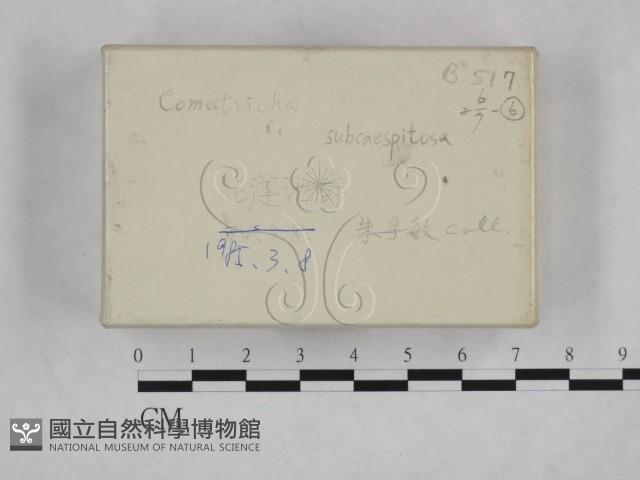 登錄號:F0018488藏品圖，第3張