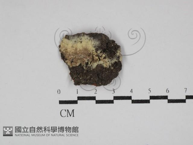 登錄號:F0030488藏品圖，第3張