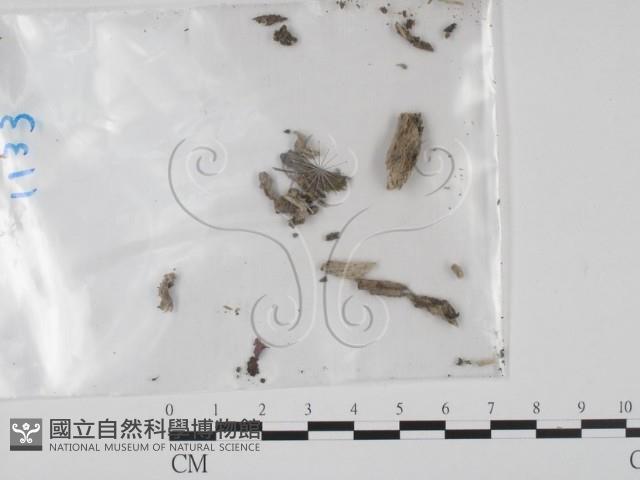 登錄號:F0020188藏品圖，第3張