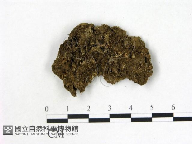 登錄號:F0000188藏品圖，第3張
