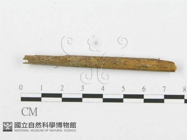 登錄號:F0010188藏品圖，第3張
