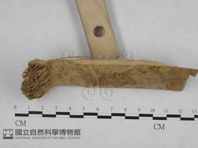 登錄號:F0004188藏品圖，第3張