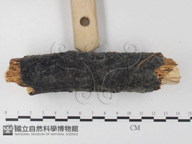 登錄號:F0022188藏品圖，第3張