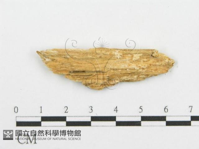 登錄號:F0006088藏品圖，第3張