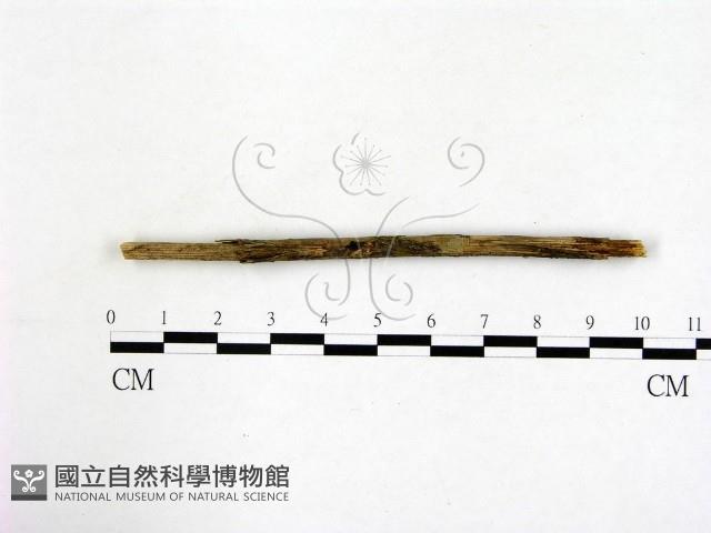登錄號:F0003088藏品圖，第3張