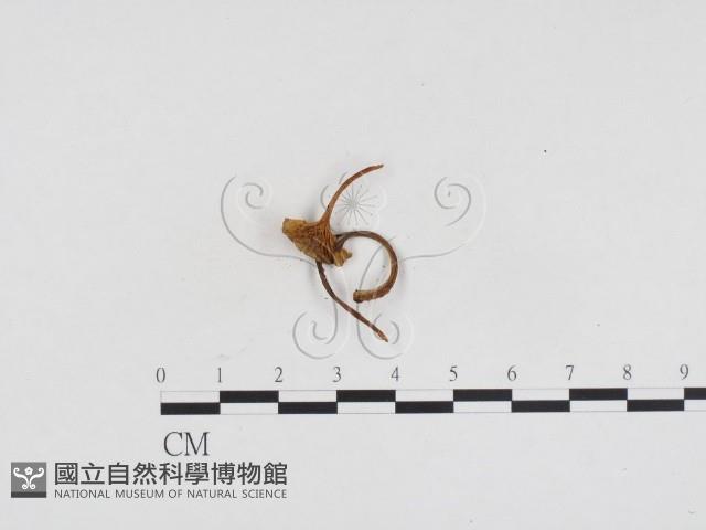 登錄號:F0024388藏品圖，第3張