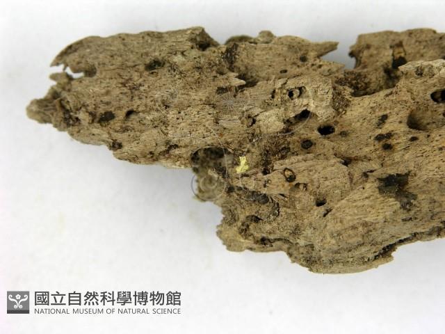 登錄號:F0007388藏品圖，第3張