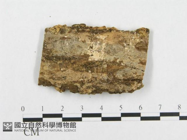登錄號:F0007100藏品圖，第3張