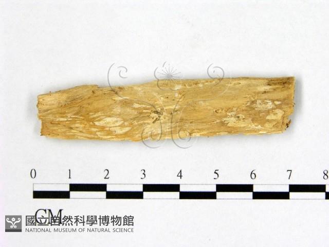 登錄號:F0007000藏品圖，第3張