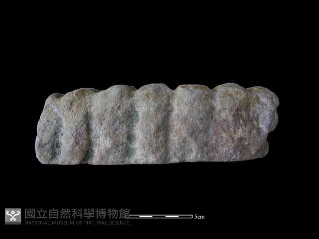 砥石藏品圖，第3張