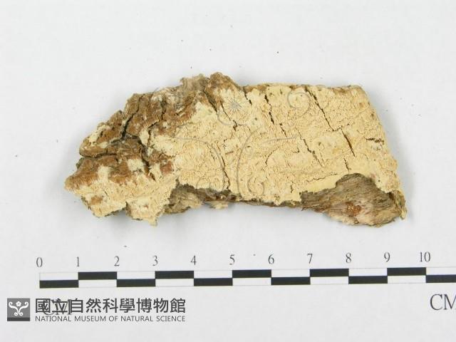 登錄號:F0007290藏品圖，第3張