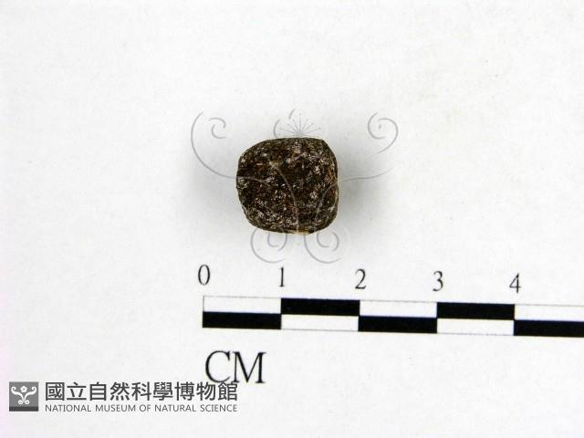 登錄號:F0016890藏品圖，第3張