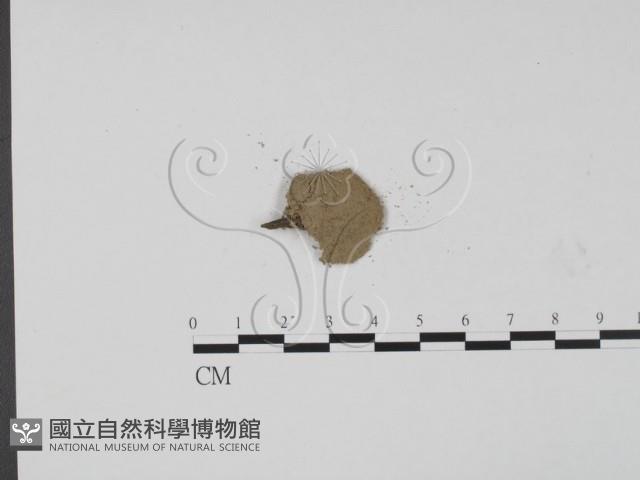 登錄號:F0001990藏品圖，第3張