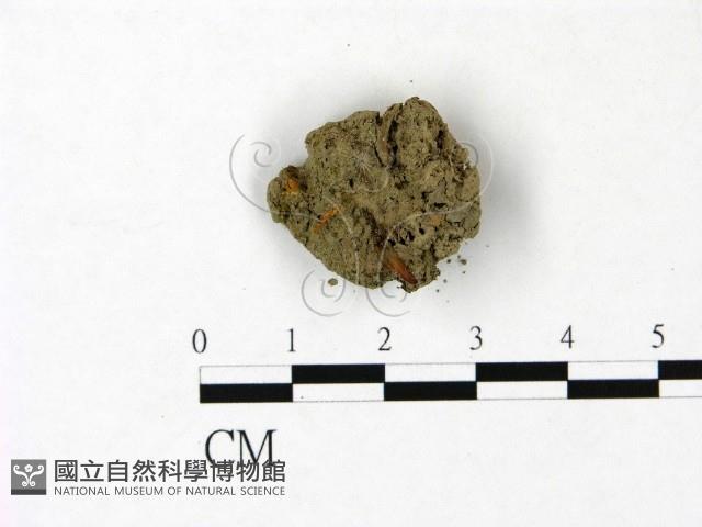 登錄號:F0022990藏品圖，第3張