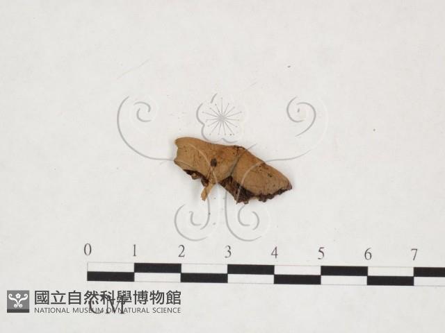 登錄號:F0025990藏品圖，第3張