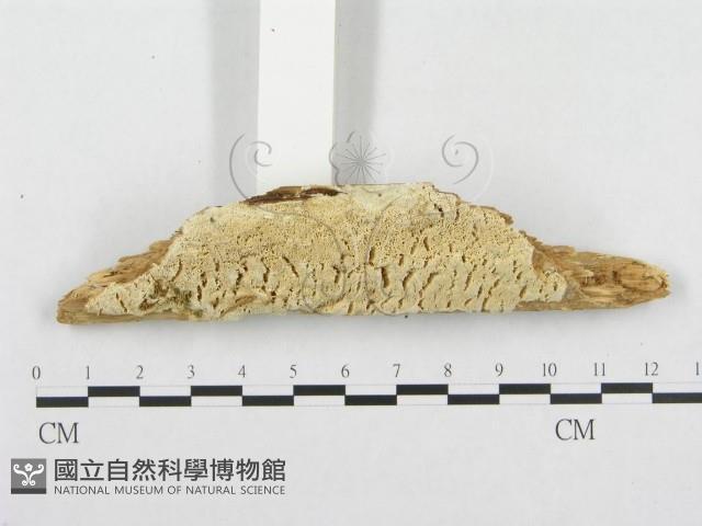 登錄號:F0005990藏品圖，第3張