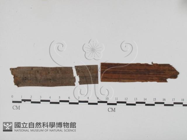 登錄號:F0011690藏品圖，第3張