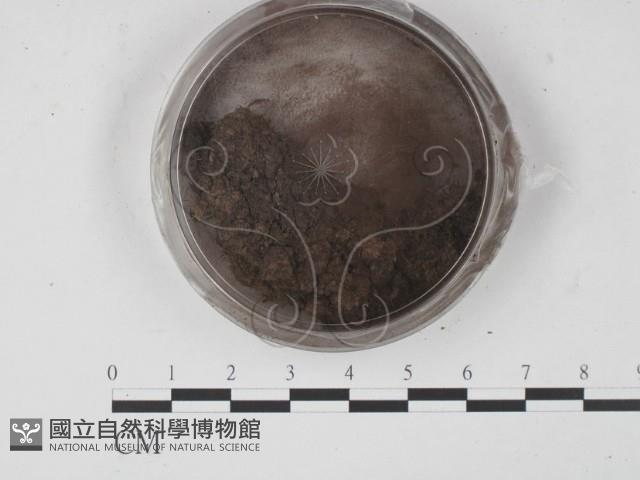 登錄號:F0007690藏品圖，第3張