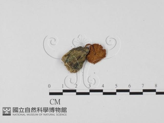 登錄號:F0025690藏品圖，第3張