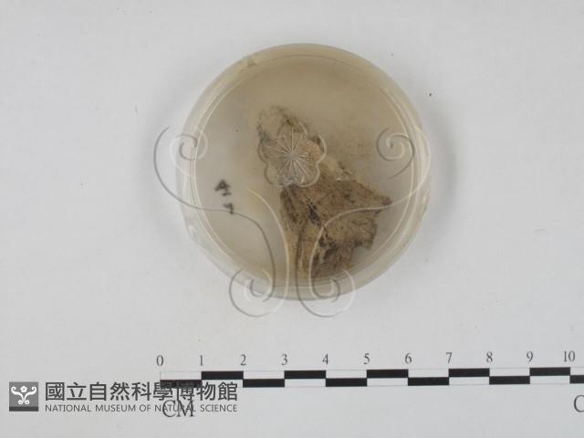 登錄號:F0005690藏品圖，第3張