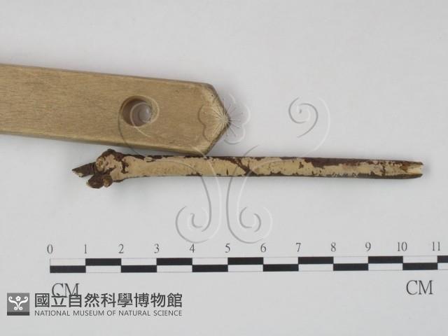 登錄號:F0010490藏品圖，第3張