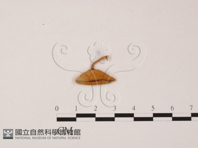 登錄號:F0002490藏品圖，第3張