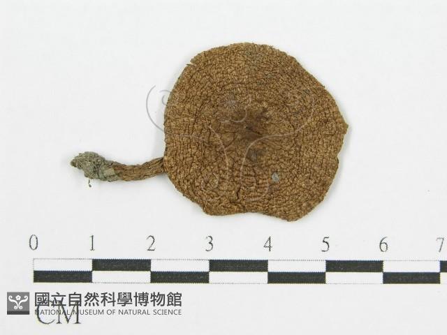 登錄號:F0004790藏品圖，第3張