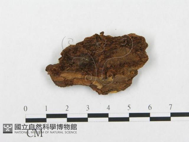 登錄號:F0017790藏品圖，第3張