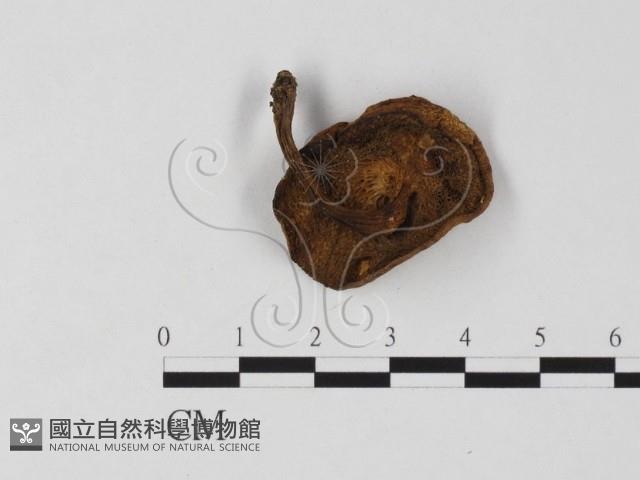 登錄號:F0025790藏品圖，第3張