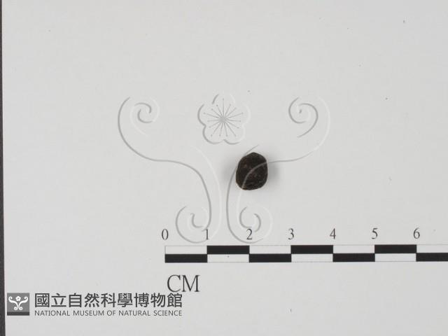 登錄號:F0002590藏品圖，第1張