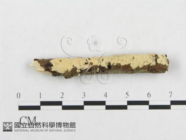 登錄號:F0001190藏品圖，第3張