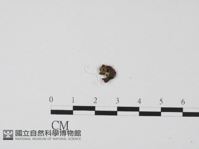 登錄號:F0017190藏品圖，第3張