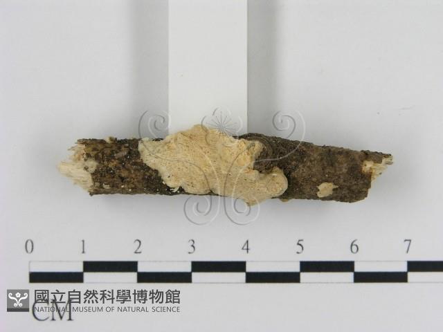 登錄號:F0009190藏品圖，第3張