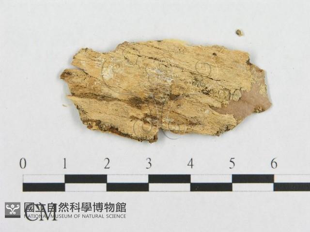 登錄號:F0007090藏品圖，第3張