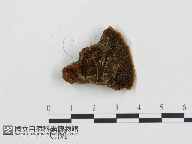 登錄號:F0000390藏品圖，第1張