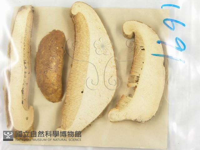 登錄號:F0011390藏品圖，第1張