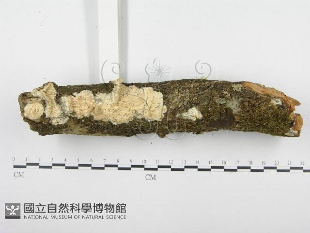 登錄號:F0001280藏品圖，第1張