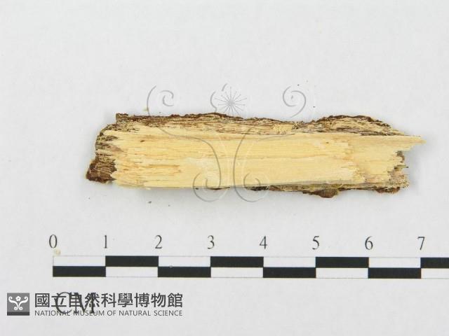 登錄號:F0007280藏品圖，第3張