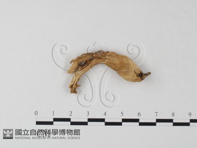 登錄號:F0023280藏品圖，第3張