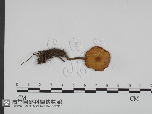 登錄號:F0001880藏品圖，第3張