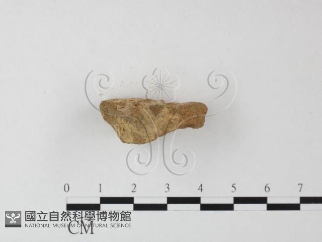 登錄號:F0023980藏品圖，第3張