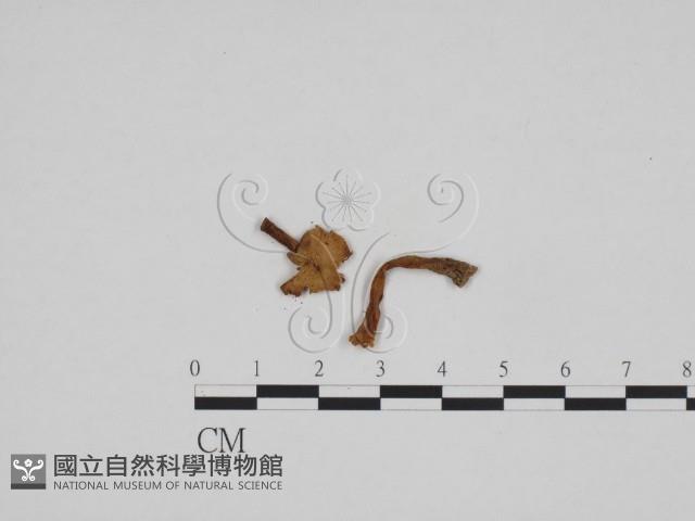 登錄號:F0024680藏品圖，第3張