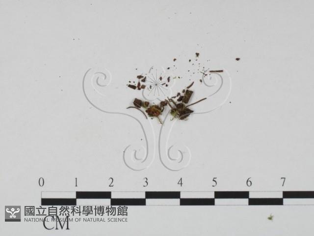 登錄號:F0019680藏品圖，第3張